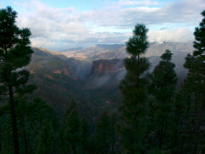 Transgrancanaria Ultra Trail (123 Km, 8000 m D+)
