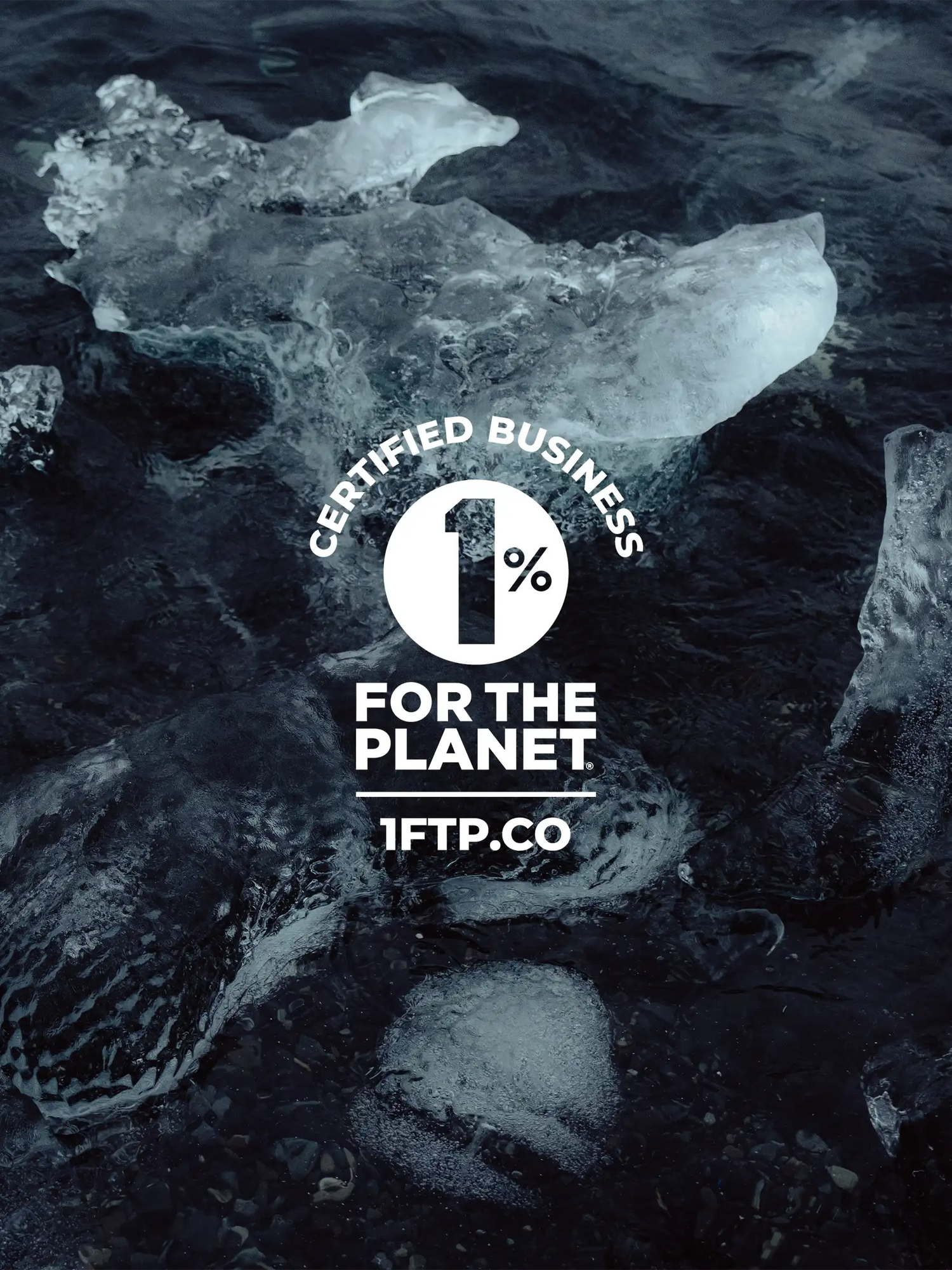 Text Media Block Image
