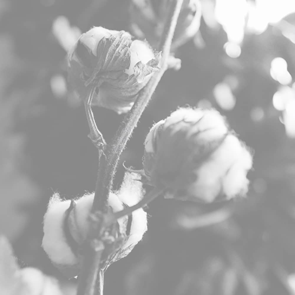Text Media Block Image