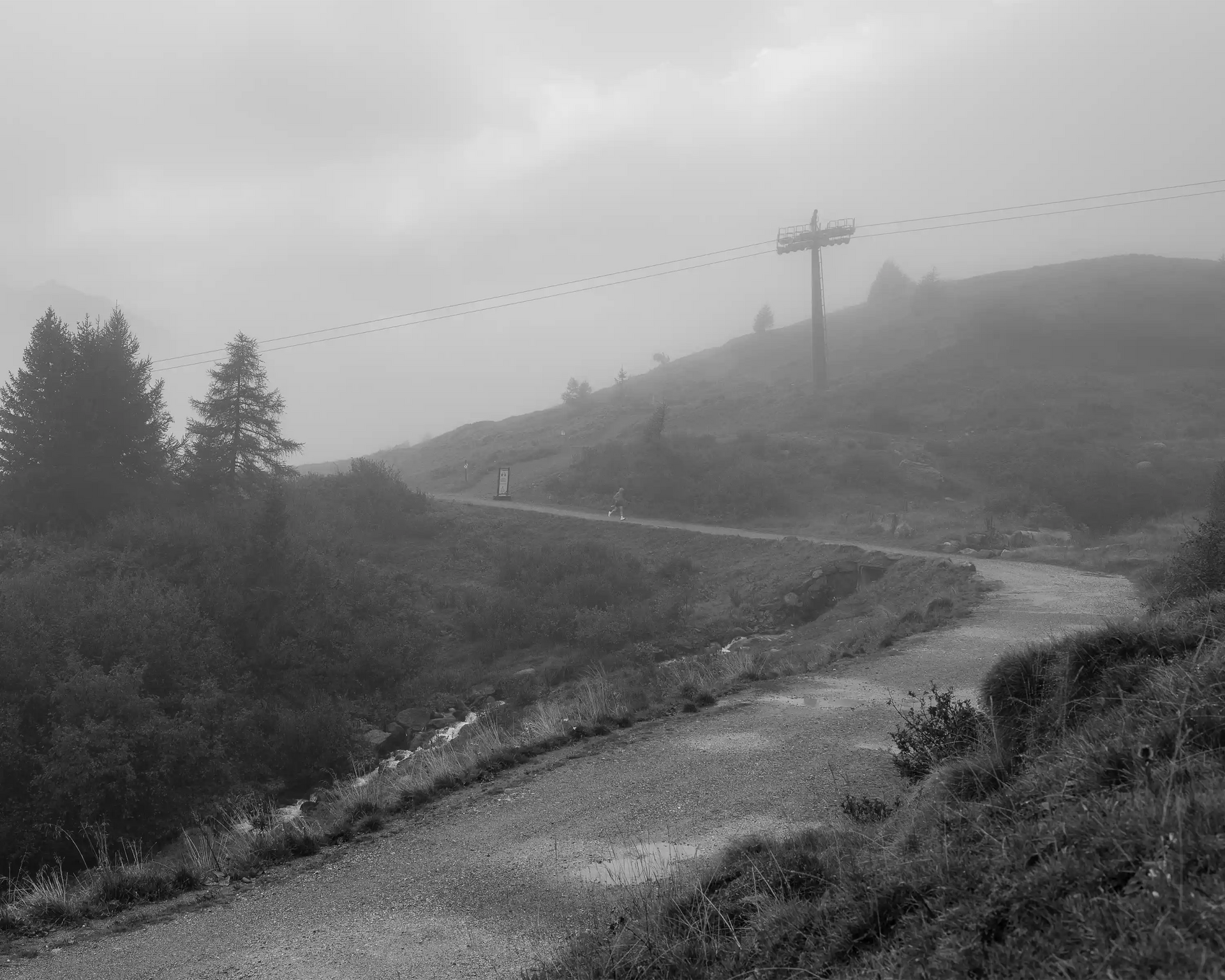 Trails Preservation Department